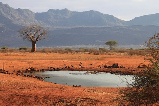 4 Days Tsavo East, Tsavo  West and Amboseli Safari